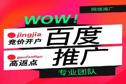百度竞价广告的投放策略及某行业案例剖析